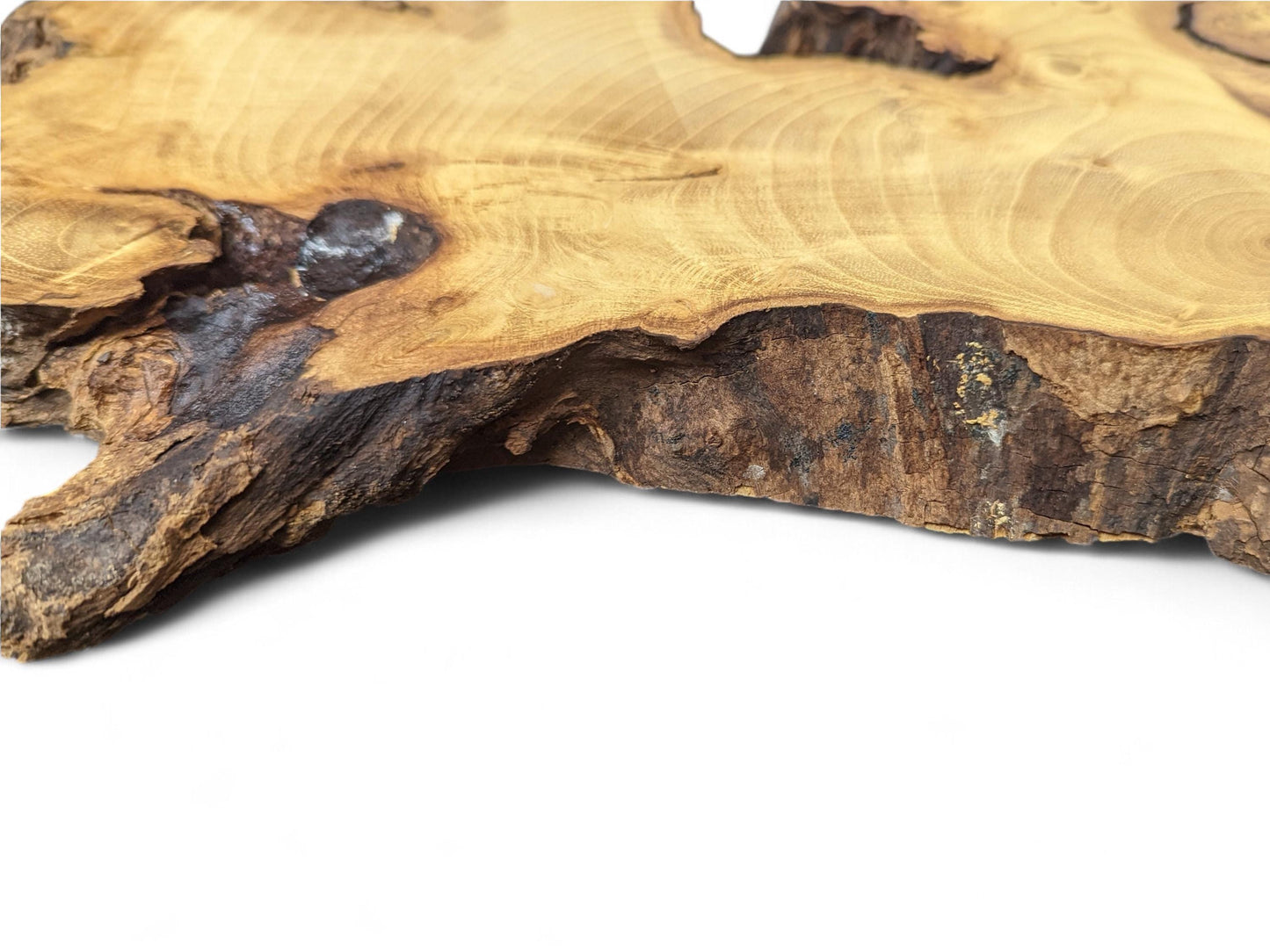 Partially visible irregular wood slice features light brown wood grain, a dark textured live edge, and burls.