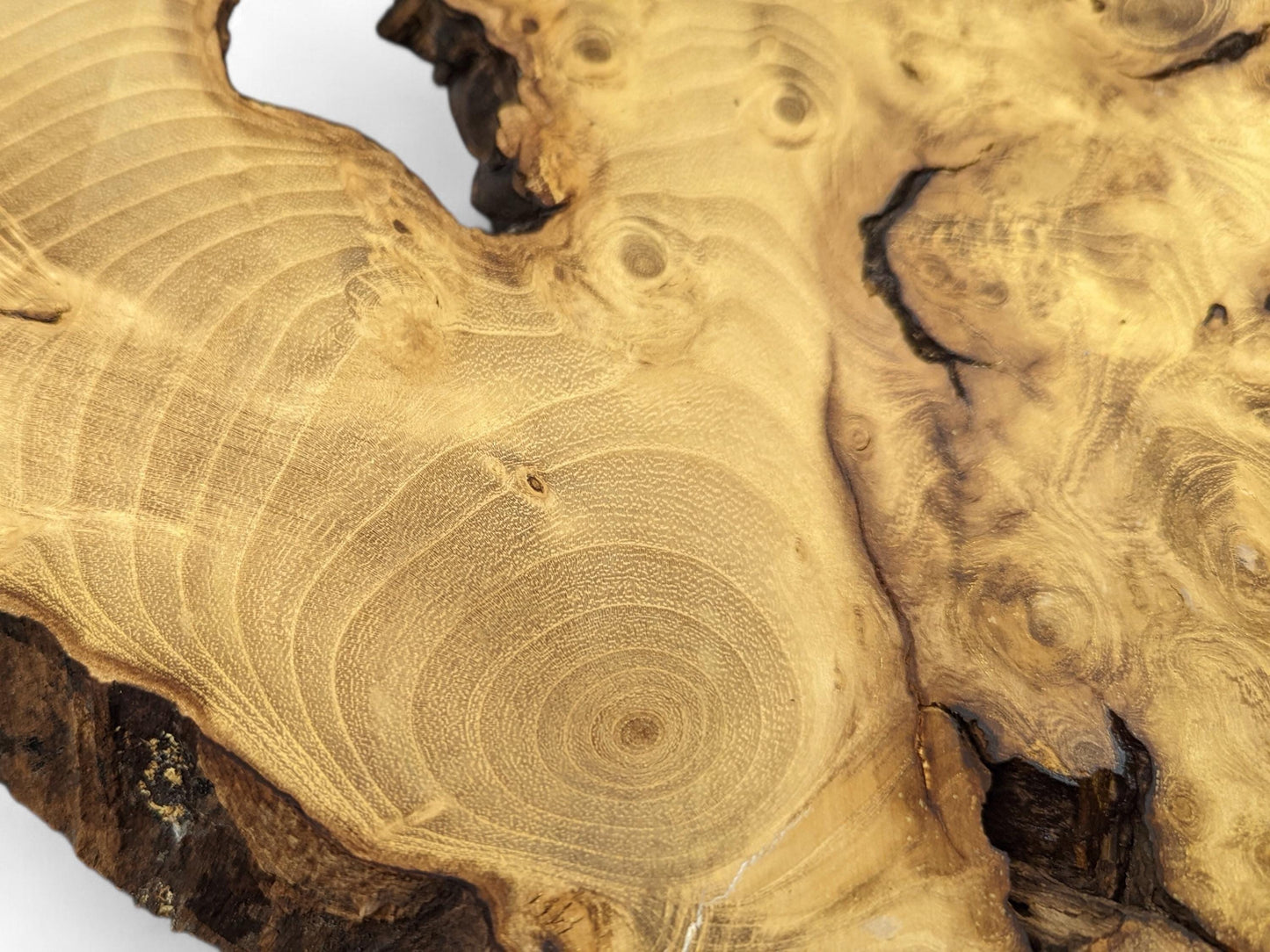 Close-up of a light brown, irregular live edge wood slice showing intricate annual rings, burls, and dark areas.
