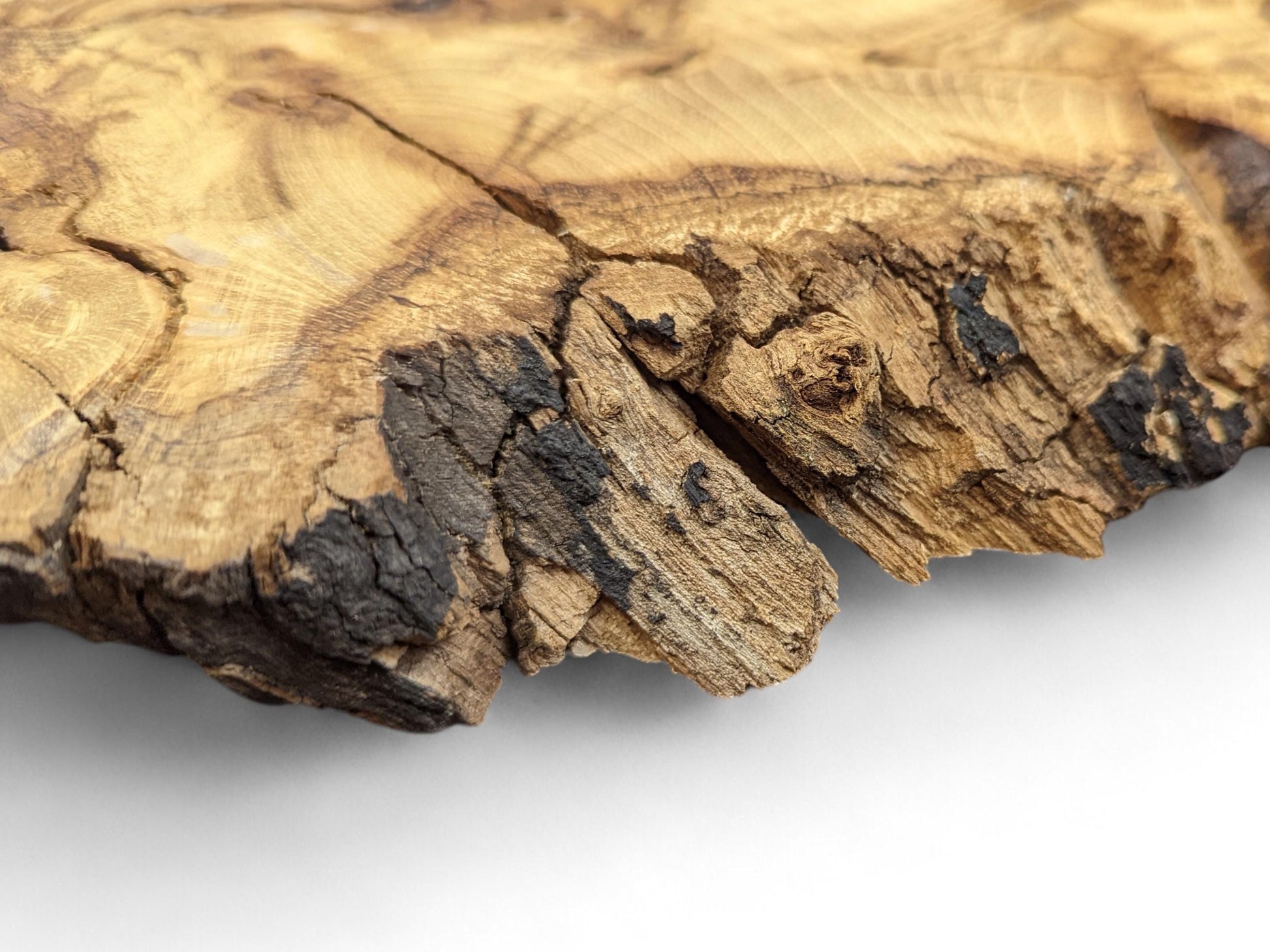Irregular live edge black locust root wood slice with light brown tones, dark voids, cracks, and prominent grain.