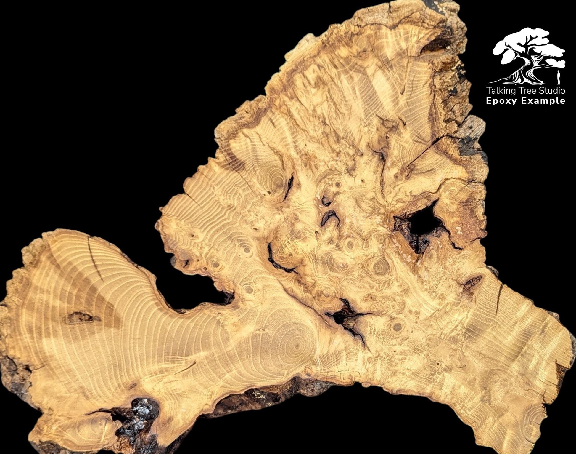 Light brown, irregular black locust root wood slice featuring grain, burls, voids, and 'Epoxy Example' text.