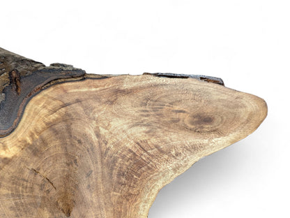 A live edge English Walnut wood slice displays warm brown tones, visible grain, and dark, rough bark.
