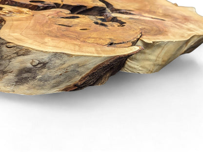 Angled view of an irregular wood slice, showing light brown grain, dark voids, and rough edges.