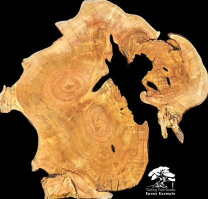 A light brown, irregular wood slice with prominent grain, dark voids, rough live edges. Includes logo.