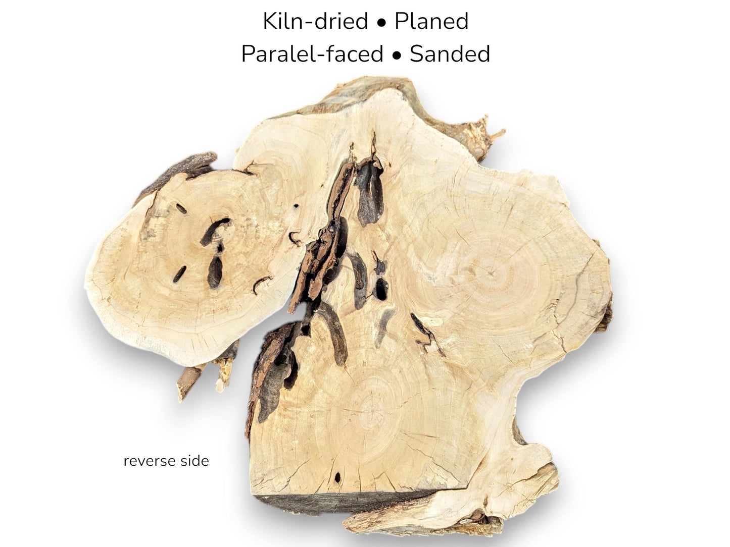 The reverse side of a weeping willow root slice, with text listing its preparation.