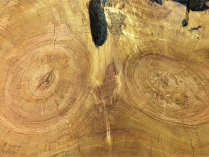 Detailed view of light brown wood slice with prominent annual rings, dark voids, and cracks.
