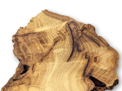 A light brown, irregular Black Locust root wood slice featuring dark live edges and wavy grain patterns.
