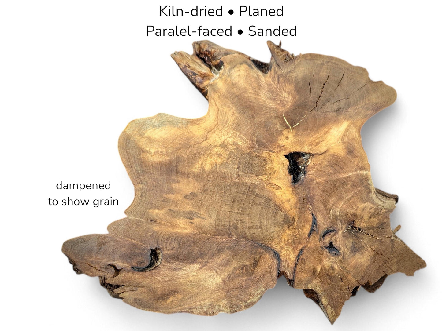 Image with text details showing irregular walnut root slice with dark cracks and swirling brown grain.