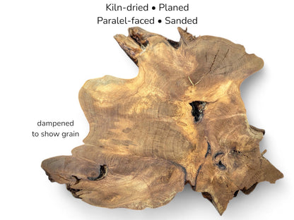 Image with text details showing irregular walnut root slice with dark cracks and swirling brown grain.