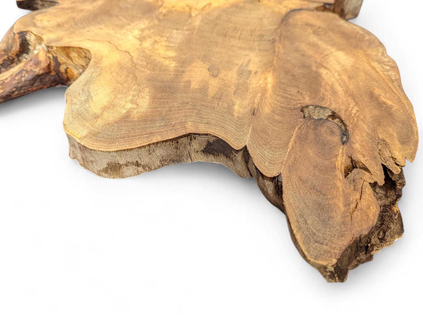 Irregular light brown wood slice displaying prominent grain, visible growth rings, natural edge, and a dark void.