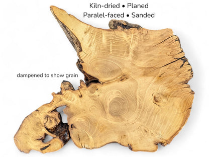 Irregular golden-brown wood slab showcasing detailed growth rings, cracks, and text overlays regarding surface treatment.