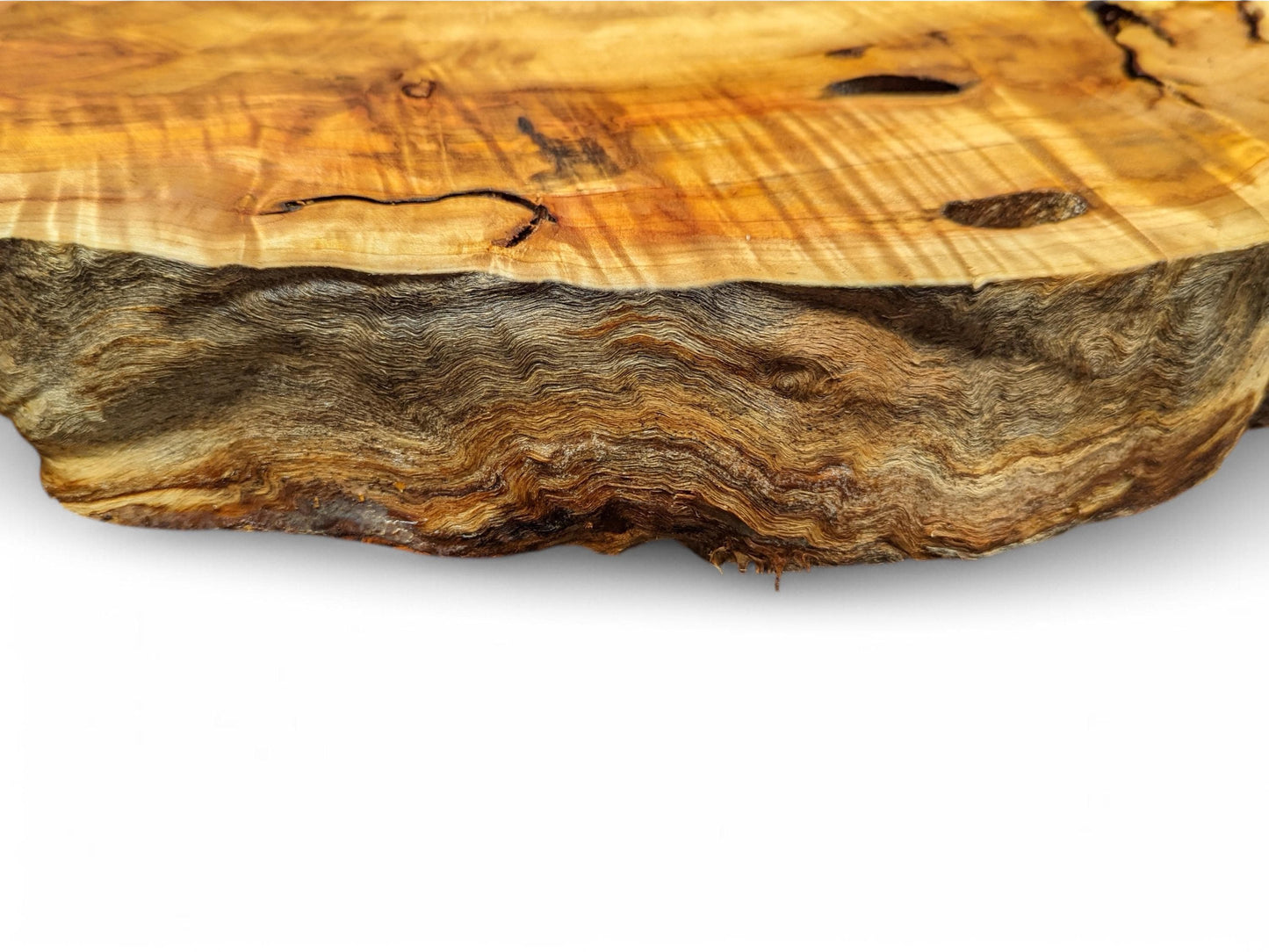 Golden-brown wood slice displaying visible grain, dark voids, and a deeply textured, irregular live edge.
