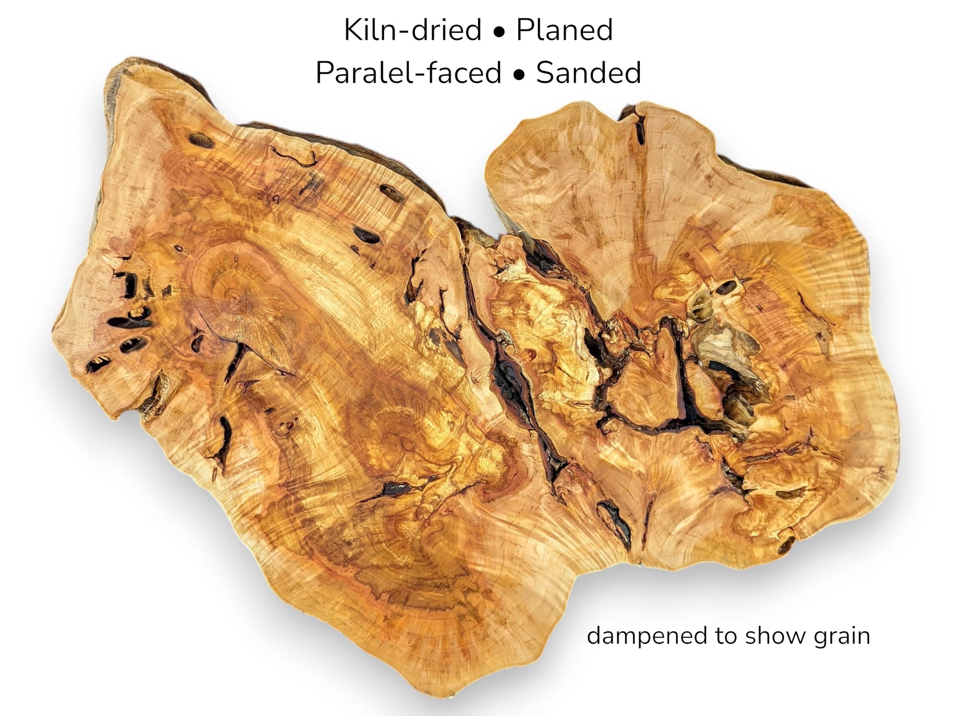 A willow root slice with text annotations detailing its preparation: kiln-dried, planed, and sanded.