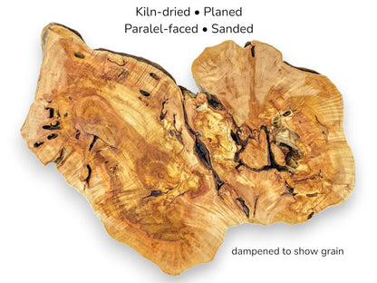 A willow root slice with text annotations detailing its preparation: kiln-dried, planed, and sanded.