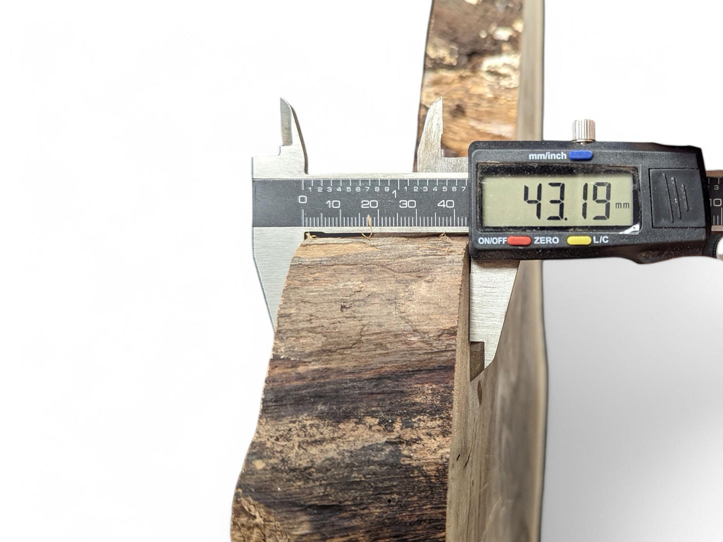 Digital caliper measures the 43.19 mm thickness of an irregular, dark brown live edge wood slice.