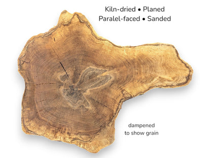 Irregular English walnut root slice displaying dark grain rings with text noting it is kiln-dried and sanded.