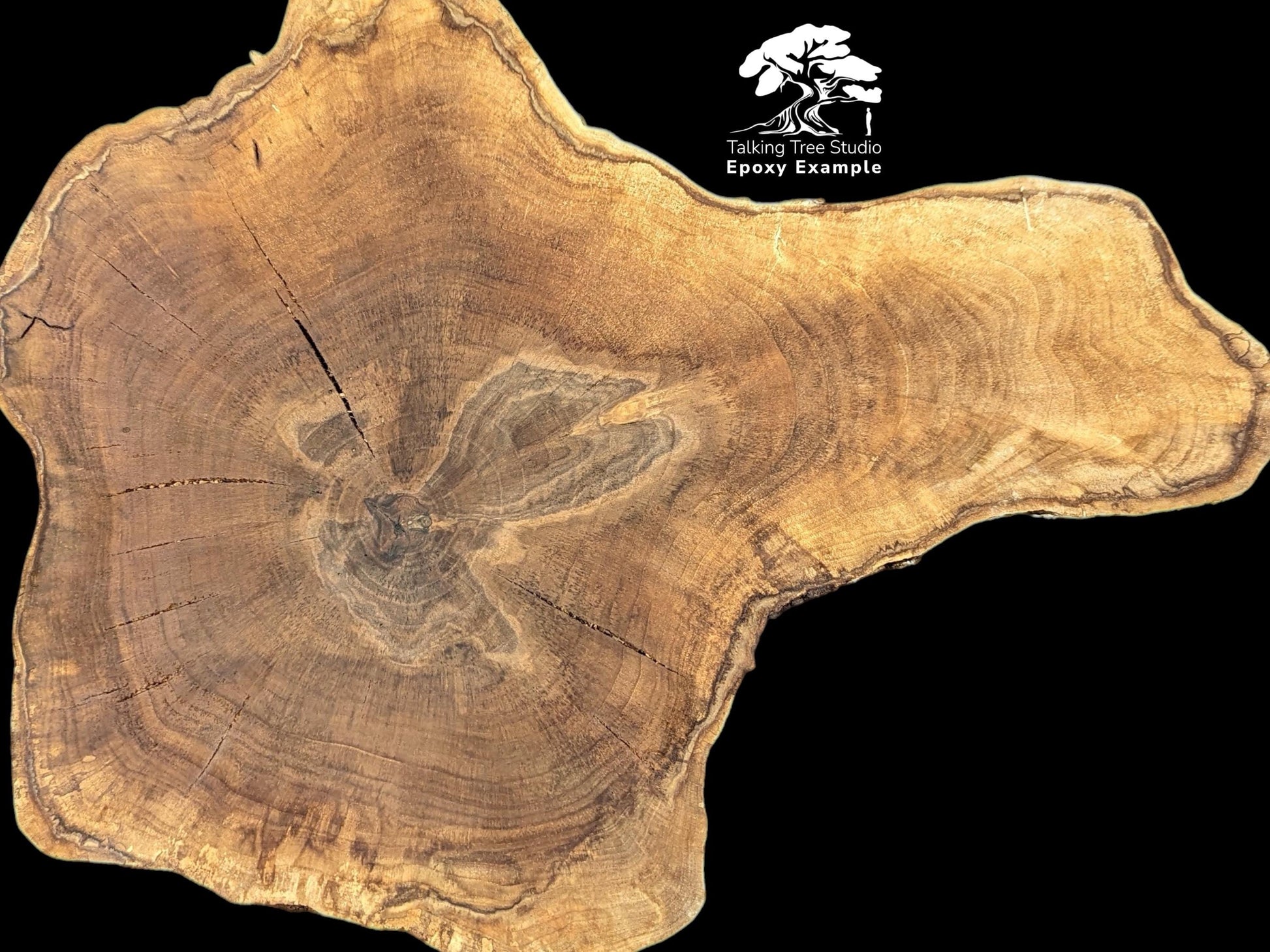 Brown wood slice, irregular shape, displaying prominent tree rings, cracks, and "Epoxy Example" text overlay.