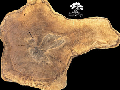 Brown wood slice, irregular shape, displaying prominent tree rings, cracks, and "Epoxy Example" text overlay.