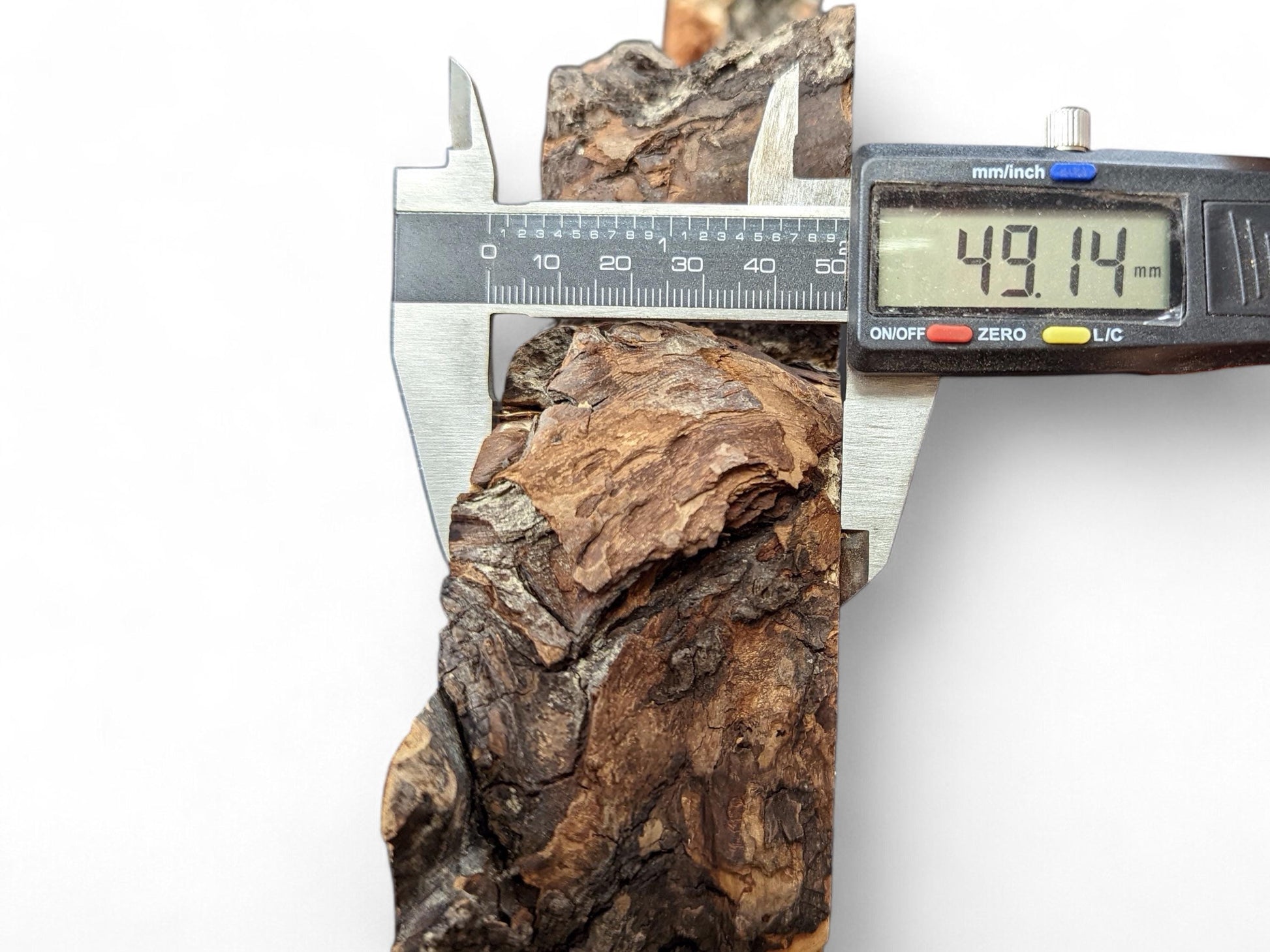 Digital caliper measures weeping willow wood slice's width, showing 49.14 mm. It features dark, rugged, cracked bark.