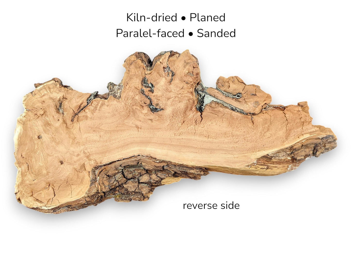 A long willow timber section reveals horizontal grain, dark fissures, and a thick, blocky bark.