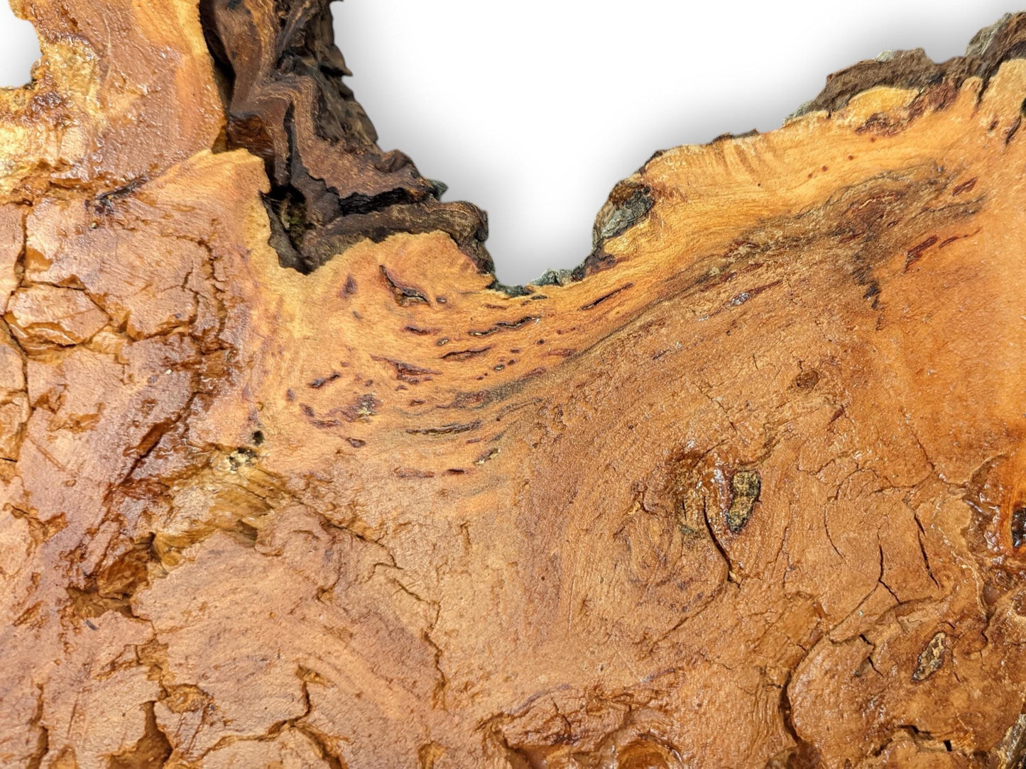 Surface of a reddish-brown weeping willow wood slab shows rough, deeply cracked, and decay-like texture.