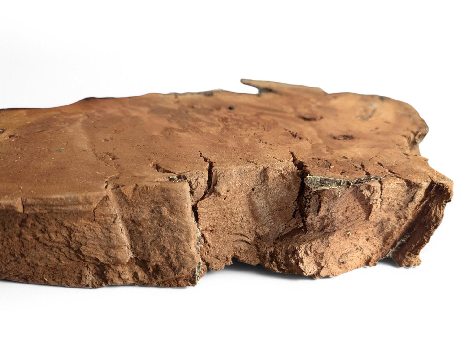 Irregular, reddish-brown weeping willow wood slab displays a cracked top and rough, deeply fissured sides.