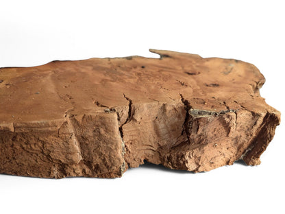 Irregular, reddish-brown weeping willow wood slab displays a cracked top and rough, deeply fissured sides.