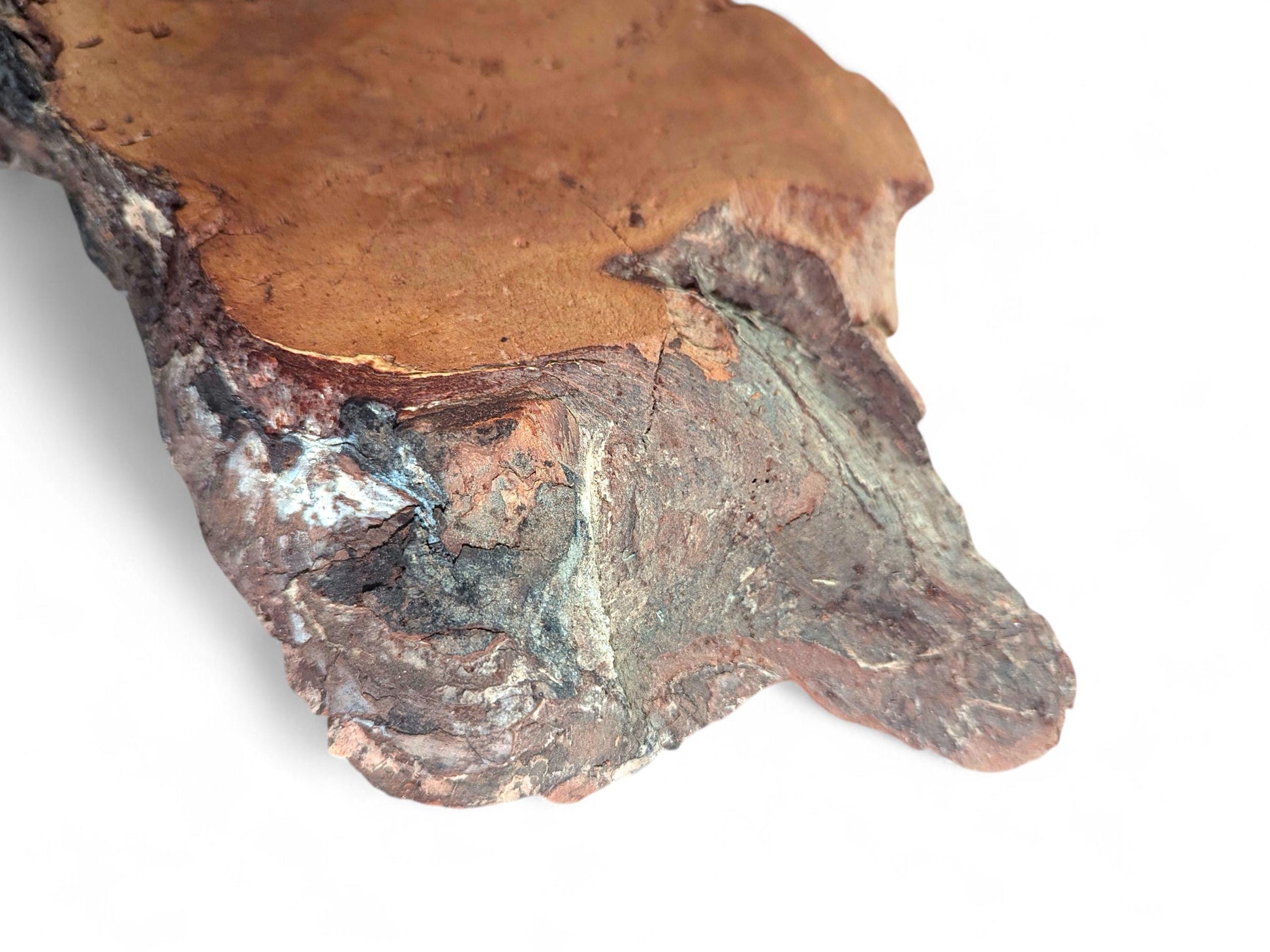 View of an irregular weeping willow wood slab: smooth reddish-brown top, rough, dark, decay-like side.