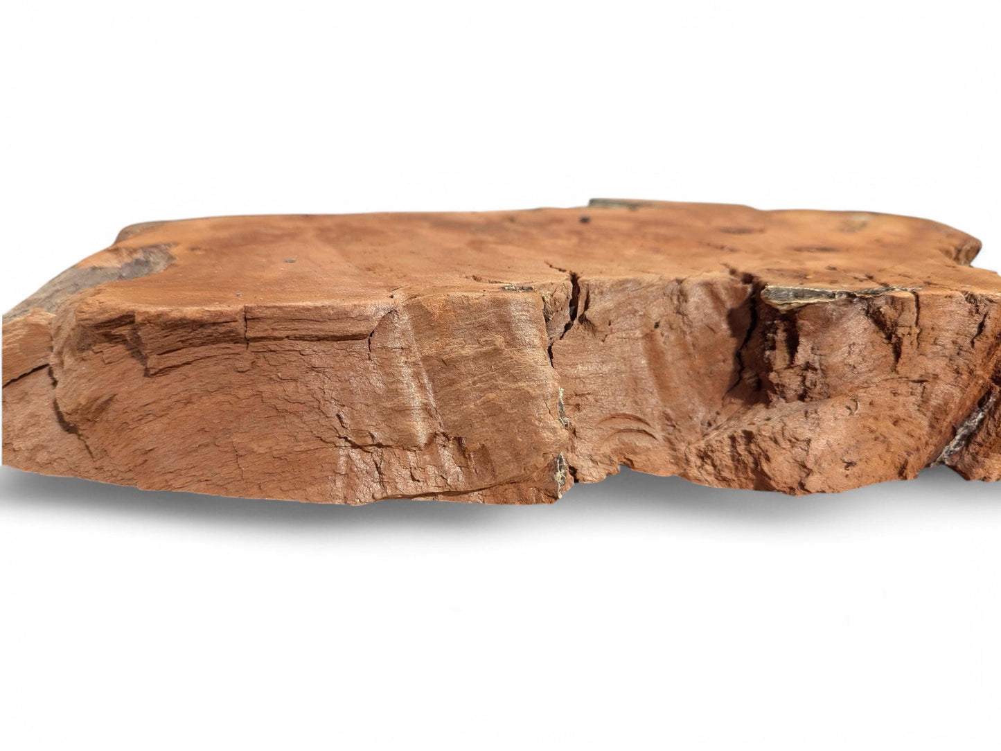 Side view of an irregular reddish-brown willow wood slab, with deeply fissured, rough, decay-like texture.
