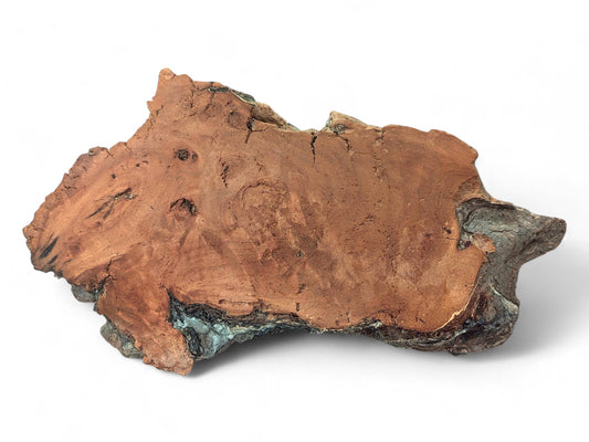 Irregular reddish-brown weeping willow wood slab with a rough, cracked surface and dark, textured edges.