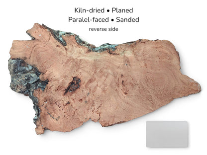 A reddish, sanded wood plank features a rugged, decaying live edge with dark, craggy sections.