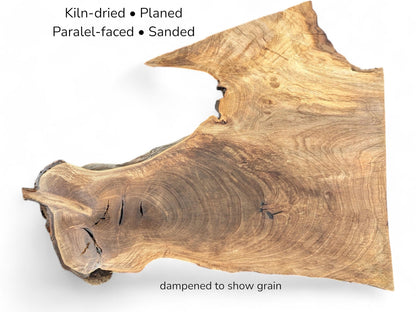 Irregular walnut root slice displaying swirling brown grain patterns and text details on a plain white background.