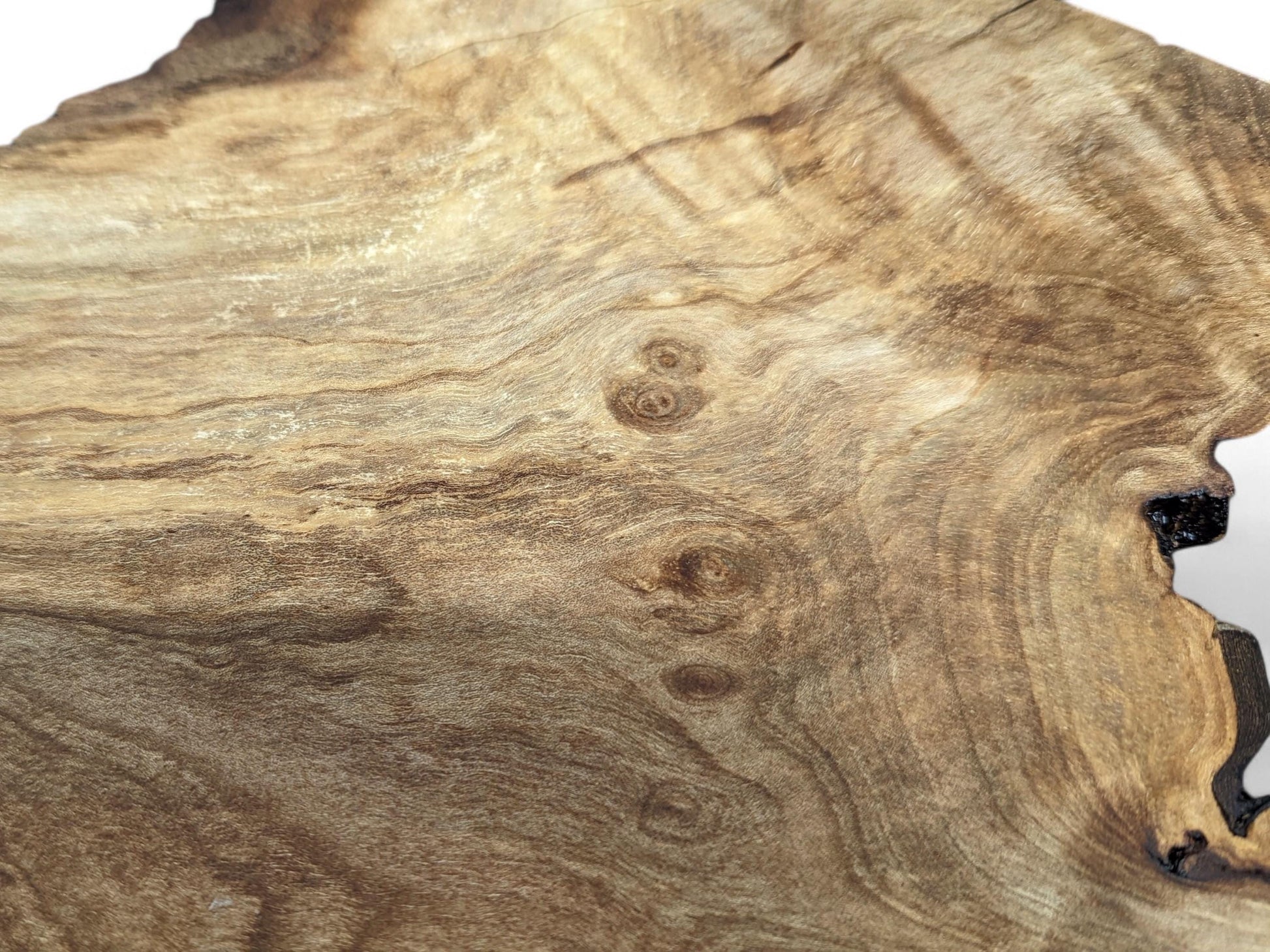A detailed view of a light brown live edge wood slice, displaying complex grain patterns and small knots.