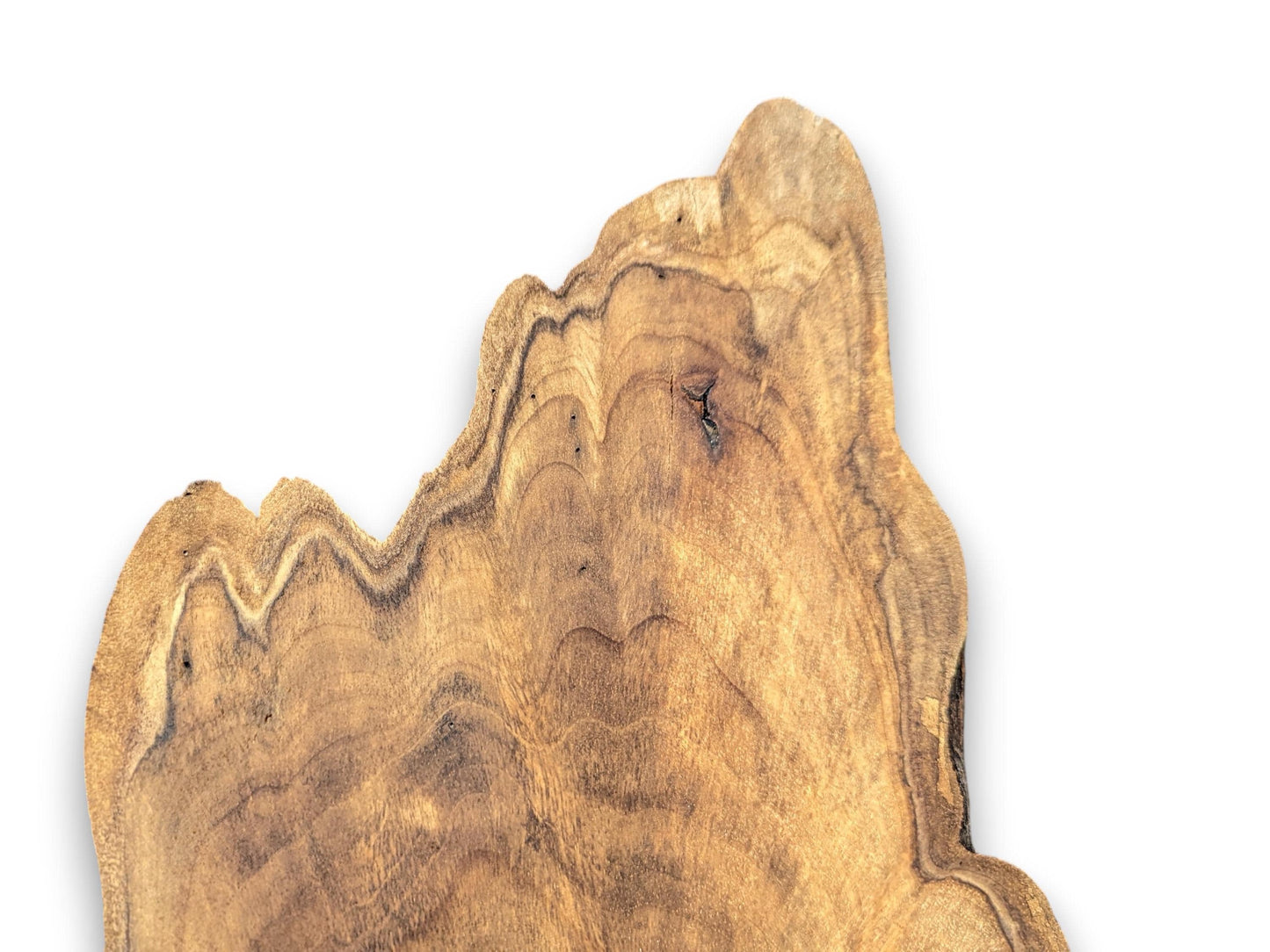 Live edge English walnut root wood slice showing natural wavy patterns, variegated brown tones, and a dark knot.