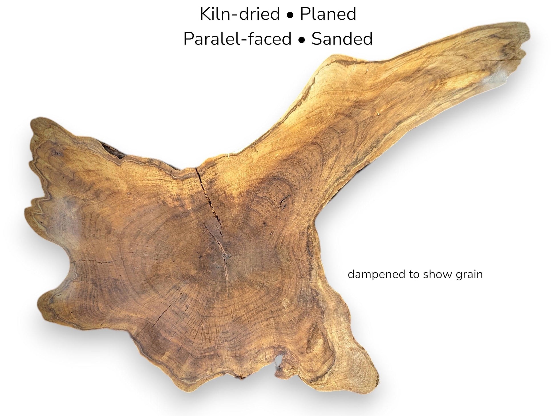 Irregular walnut root slice displaying golden brown grain patterns and text overlay regarding wood preparation.