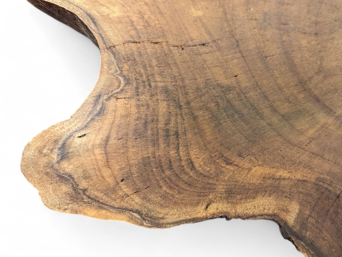 Close-up view of a live edge wood slice, featuring rich brown grain, distinct rings, and small cracks.