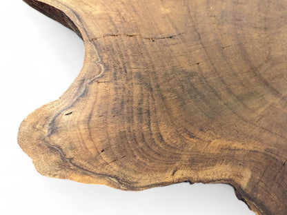 Close-up view of a live edge wood slice, featuring rich brown grain, distinct rings, and small cracks.