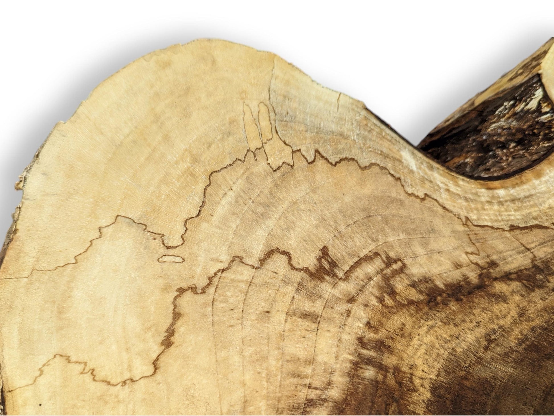 Light and dark brown live edge wood slice displaying natural grain, irregular dark lines, and a rough edge.