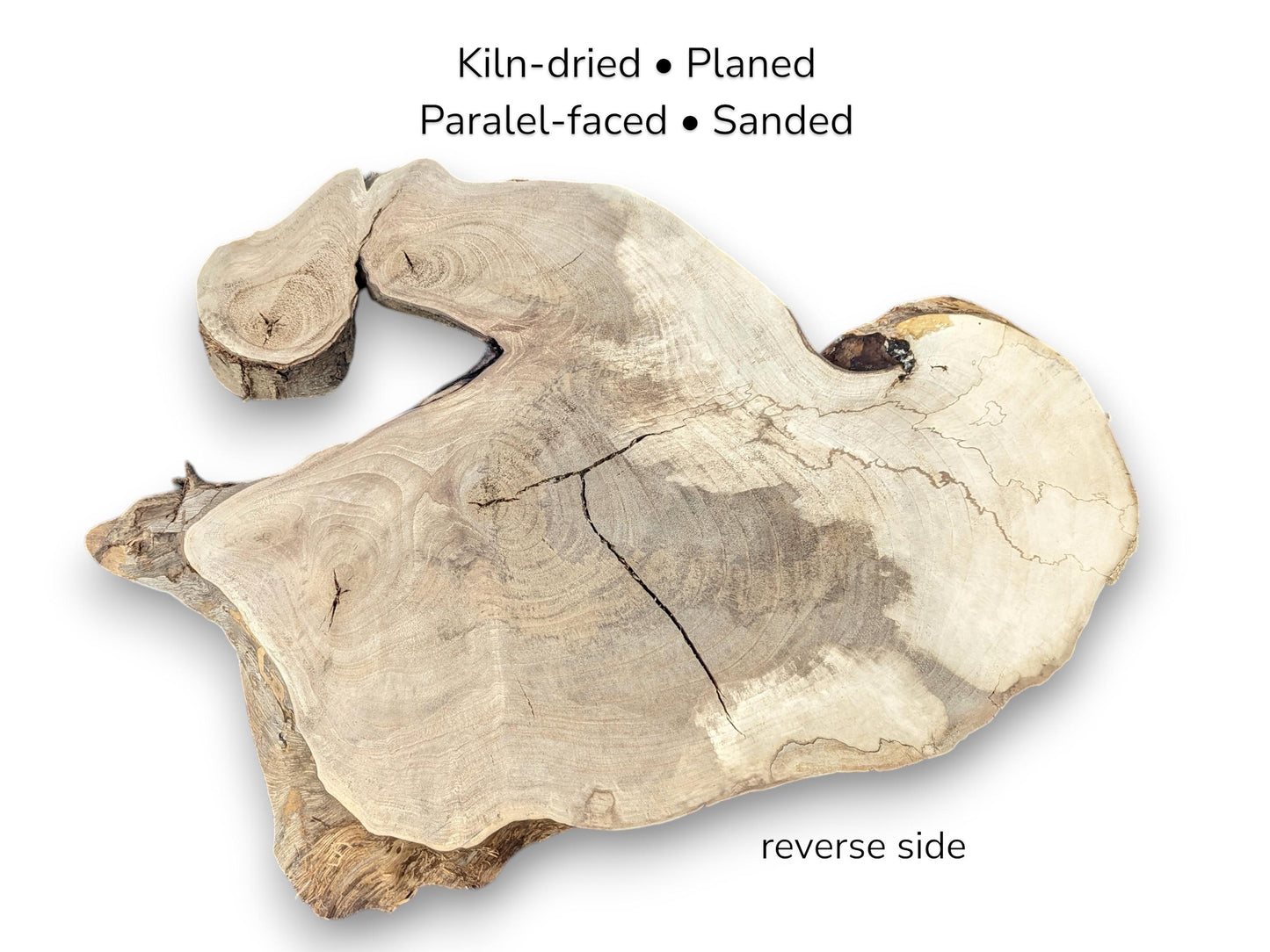 Reverse side of irregular light walnut slice displaying smooth texture, cracks, and processing text details.