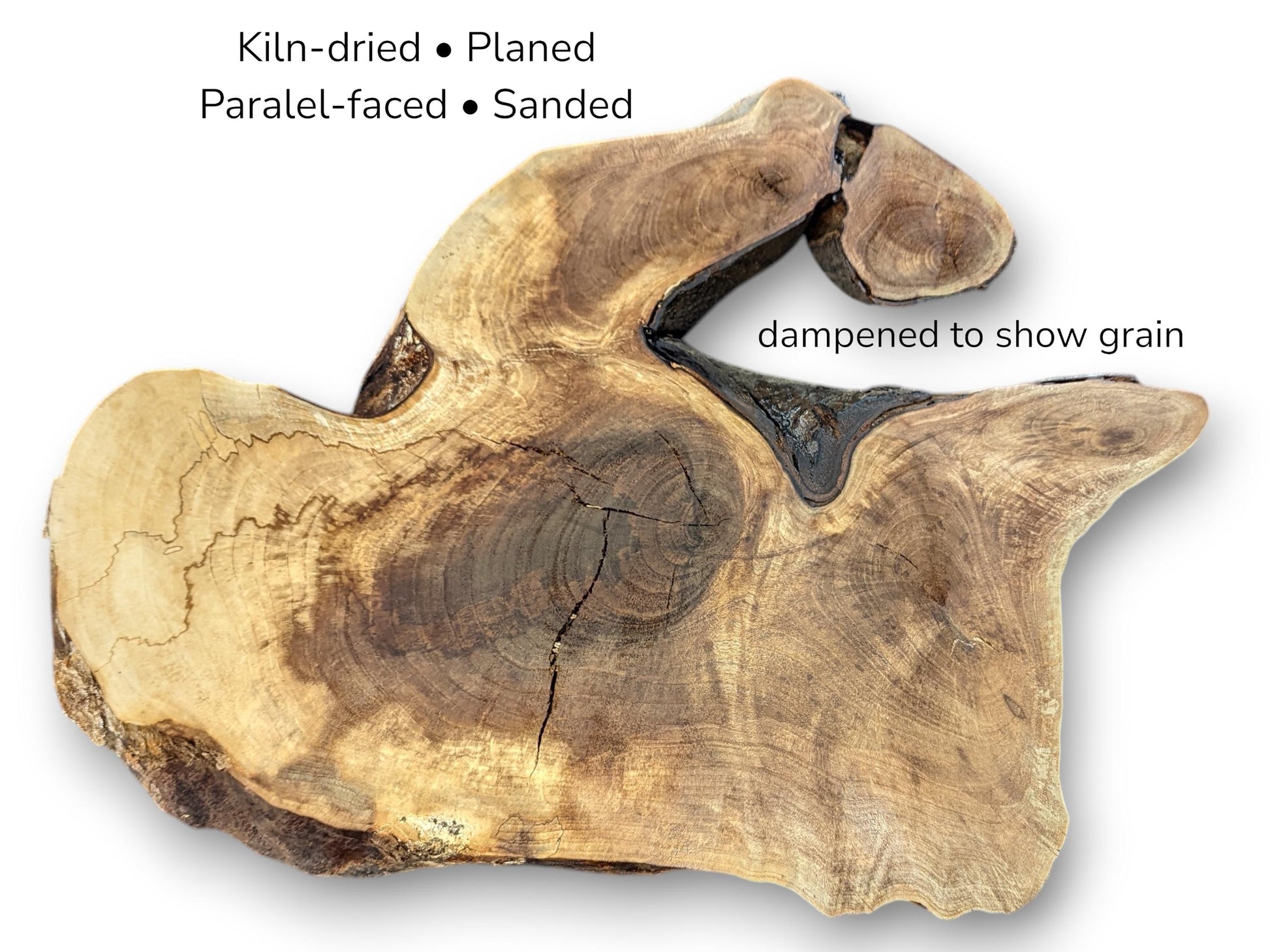 Image with text details displaying irregular walnut root slice featuring dark brown swirling grain patterns.
