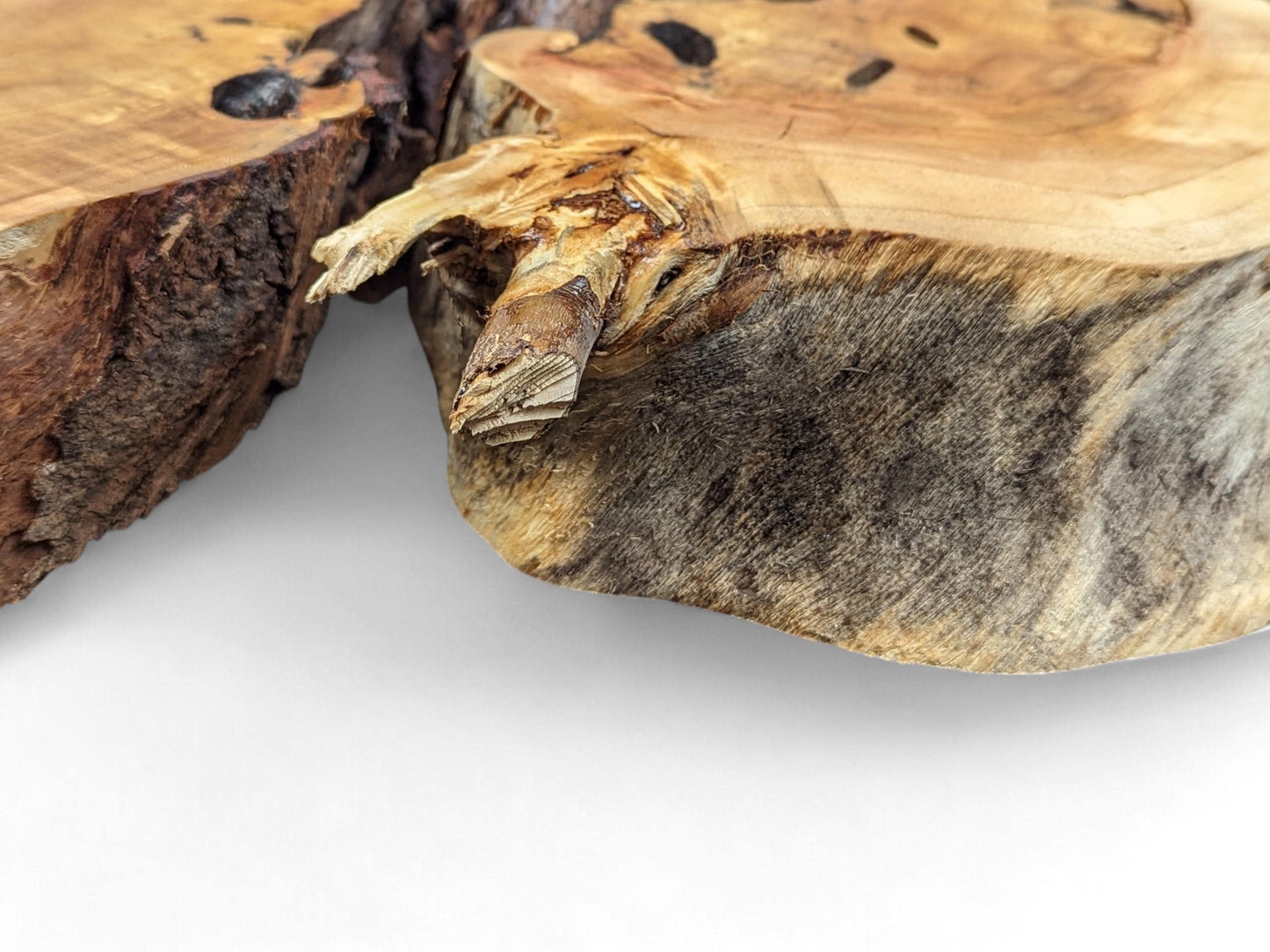 Close-up of a raw, irregular wood slice with light brown grain, deep dark voids, and rough fibrous edges.
