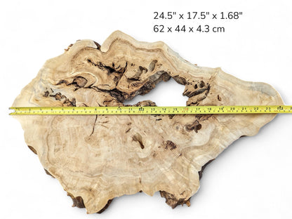 Light-colored wood slab with irregular shape, natural voids, a measuring tape, and visible dimensions text.