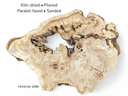 Image displaying an irregular wood slice with large void, accompanied by text detailing its preparation and orientation.