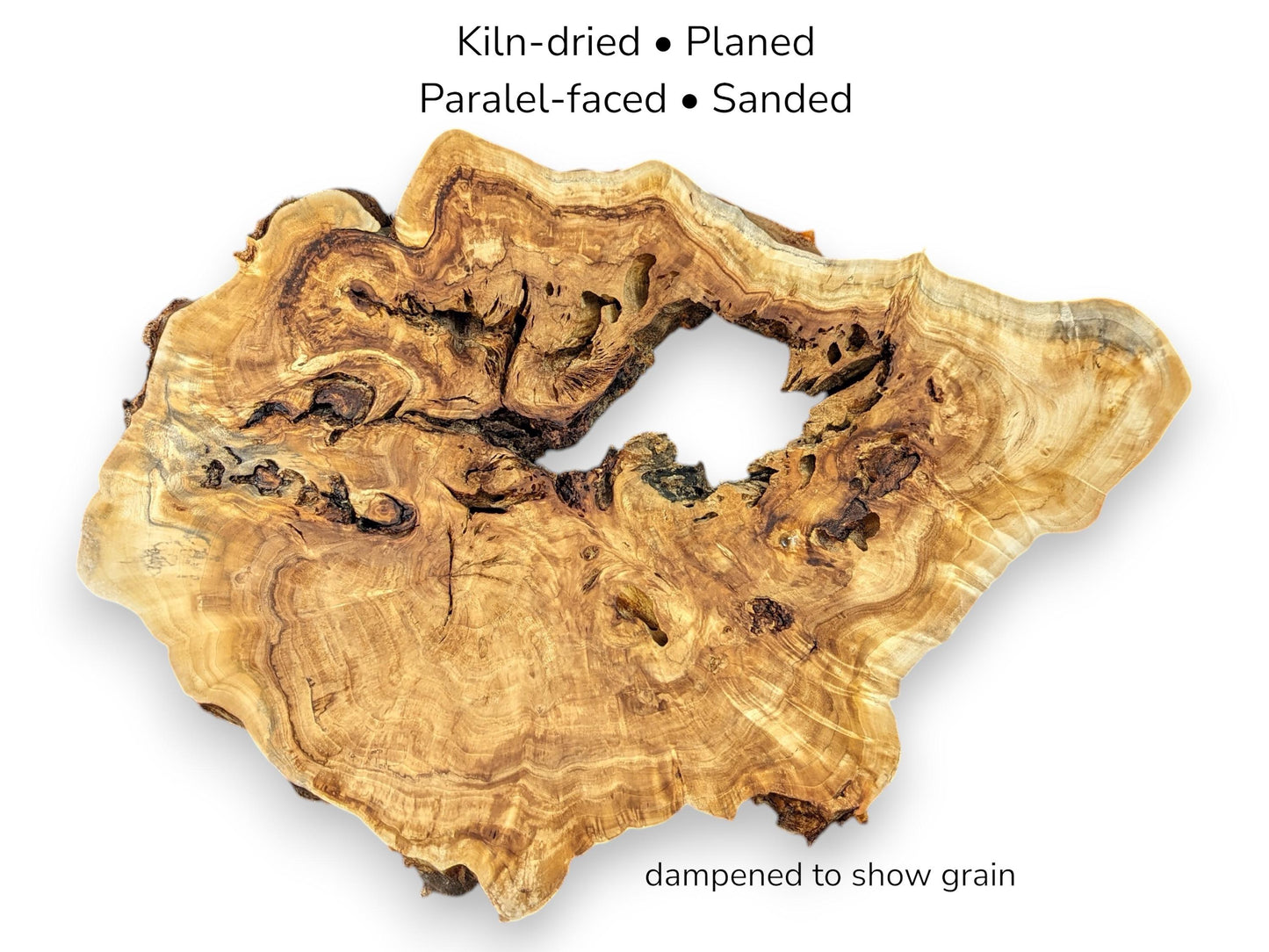 An annotated photo of a willow root slice showing its preparation: kiln-dried, planed, and sanded.