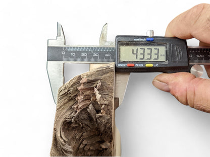 A hand holds a digital caliper, measuring the 43.33 mm thickness of a textured brown wood piece.