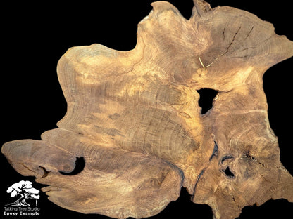 Organic-shaped root wood slice with natural brown tones, prominent grain, visible cracks, and deep holes, on black.