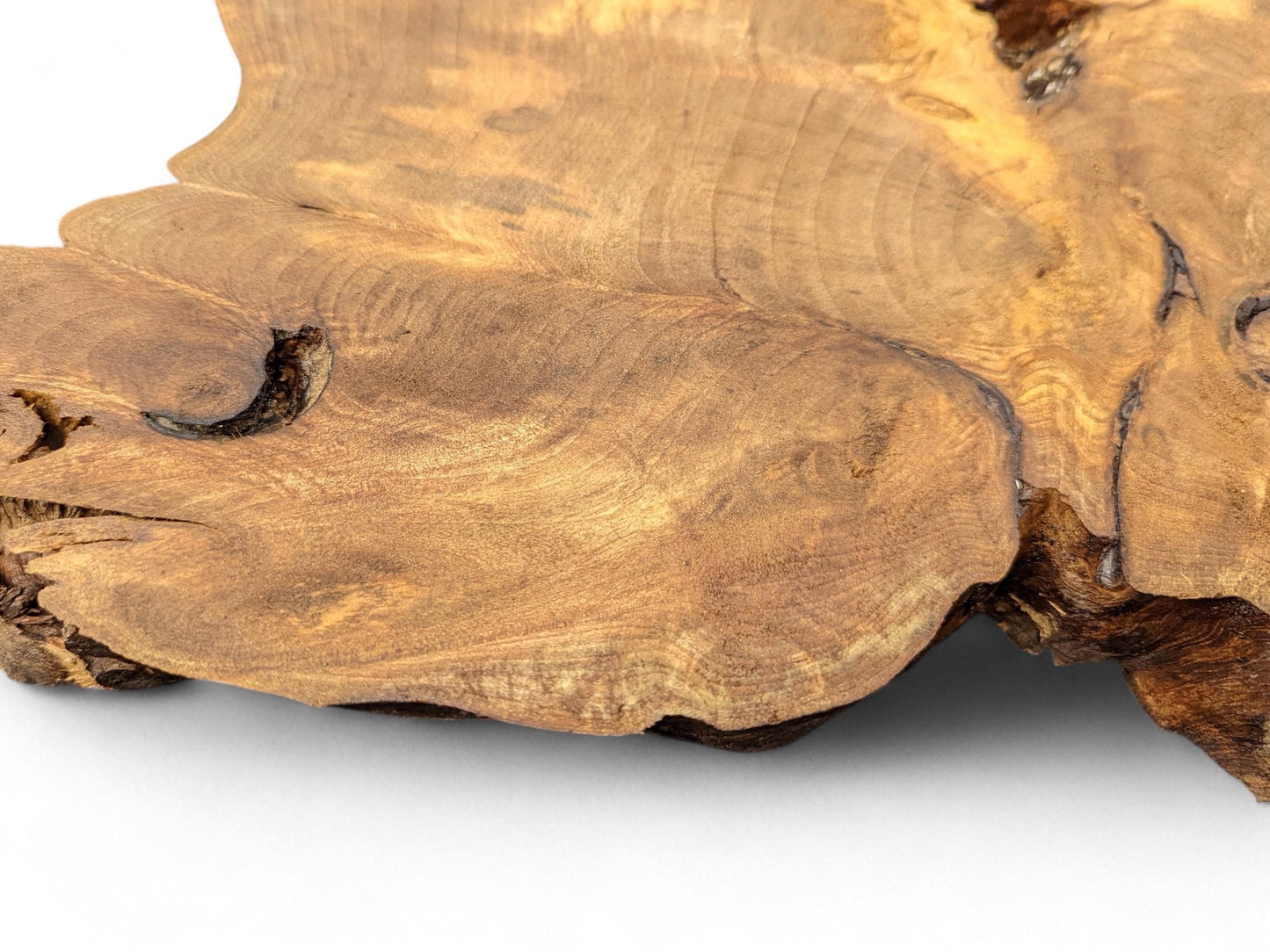 Textured close-up of an uneven light brown wood slice featuring prominent grain, knots, and natural cracks.