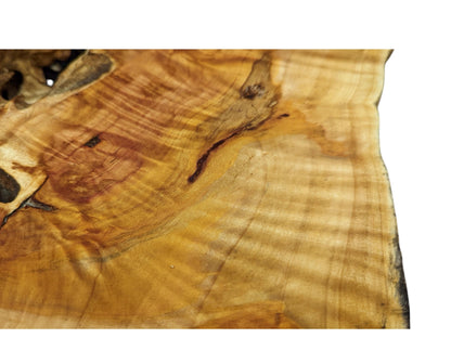 A section of golden-brown live edge wood slice displaying prominent wavy grain and dark natural voids.