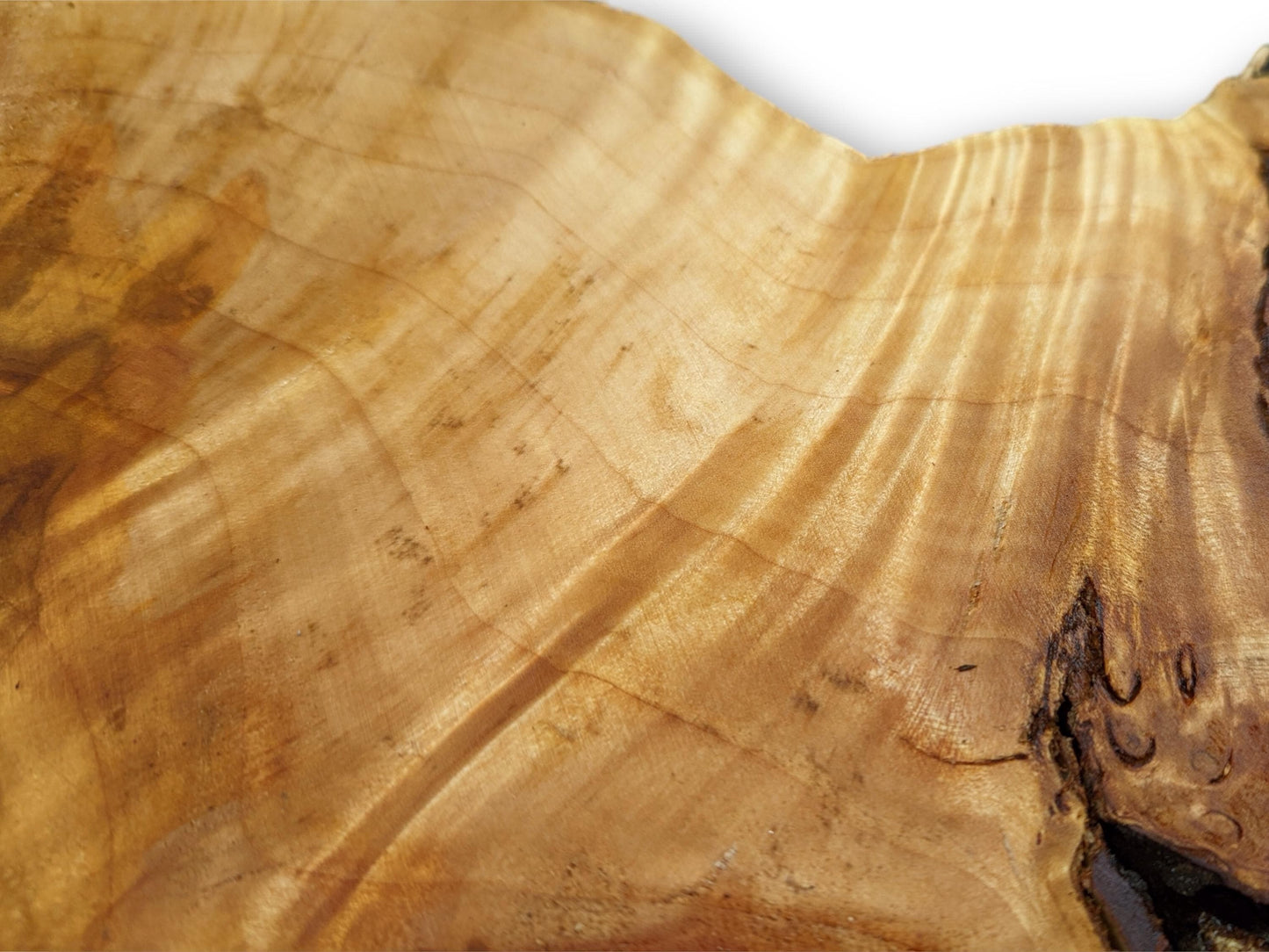 Close-up of a light golden-brown live edge wood slice with prominent wavy grain and dark crevices.