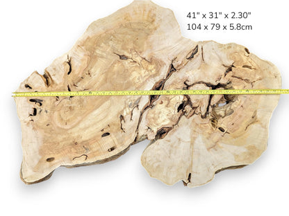 Light blonde live edge wood slice with prominent grain, natural voids, a measuring tape, and dimensions.