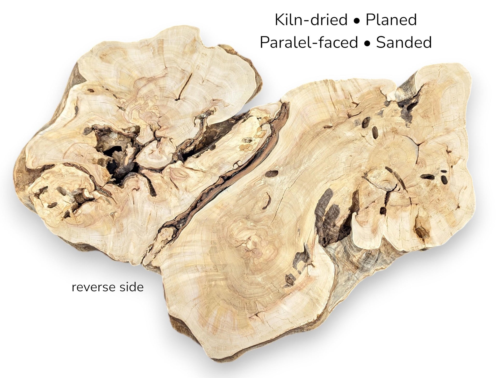 The reverse side of a prepared weeping willow root slice, with preparation details listed.